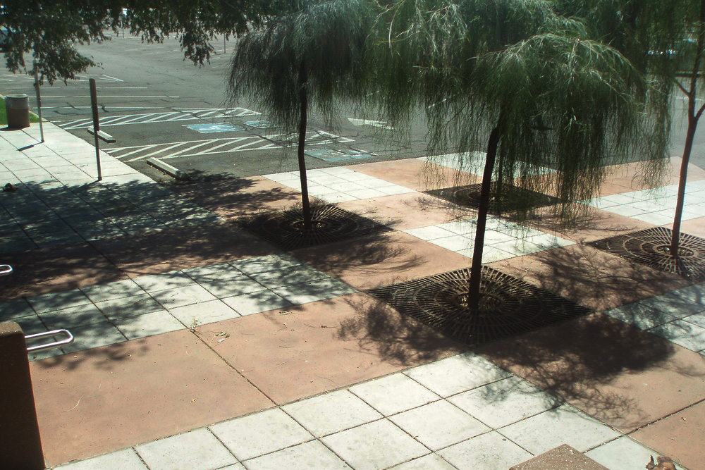 mesa-municipal-court-entrance-45